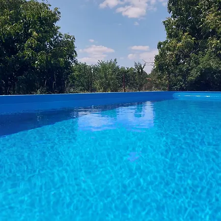Nyaraló Szárcsa Sarud